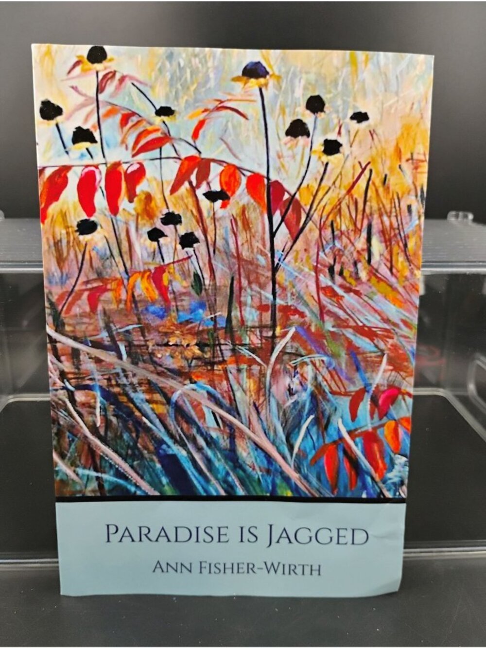 Paradise Is Jagged By Ann Fisher-Wirth Colorful Poetry Book